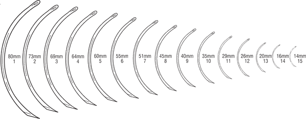 hagedorn s reversed curved