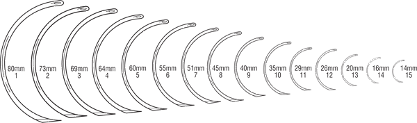 hagedorn s reversed half circle