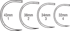 hernia half circle