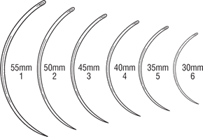 intestinal curved