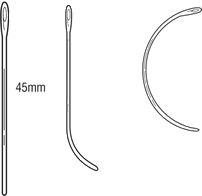 Kidney Straight Half Curved Half Circle