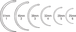 Mayo s for Catgut 1and2 Circle Taper