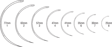 Uterine (Martin s)